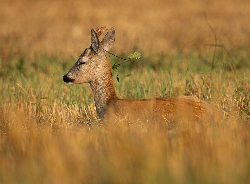 Отдых фото превью