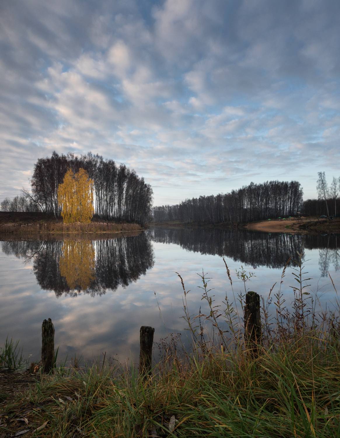 лес, свет, утро, природа, Баранов Олег