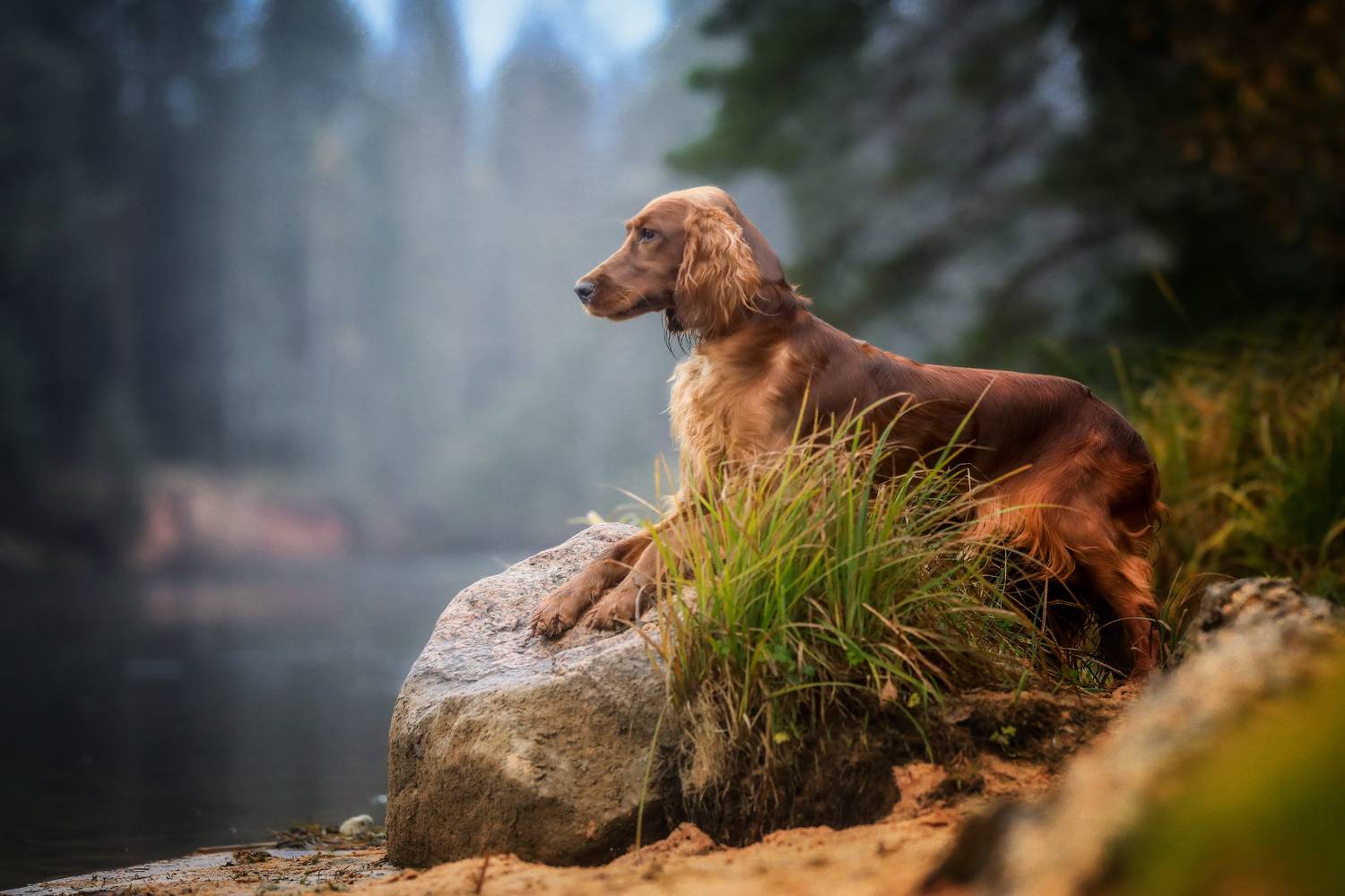 , Андрей Ершов