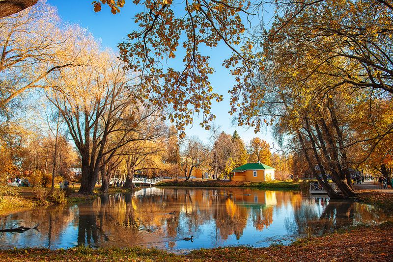 природа, осень, болдино Большое Болдино (часть 2) фото превью