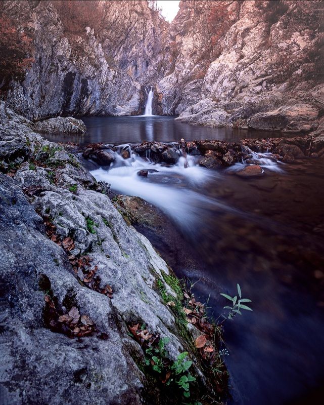 the peace, quiet and magic of \\\