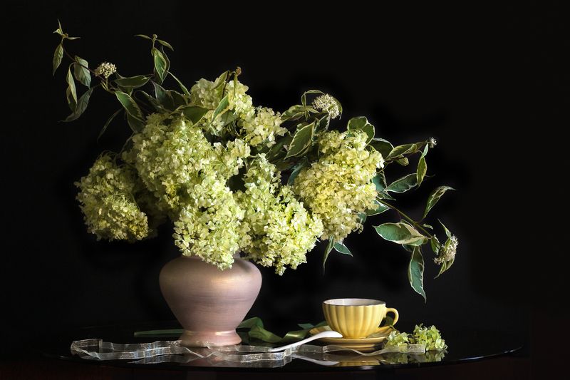 гортензия, дёрен Вечерний чай фото превью