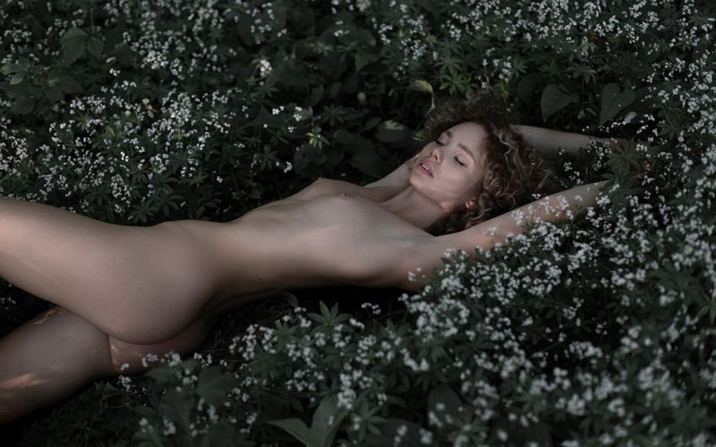 фотограф, фролов, андрей цветы фото превью