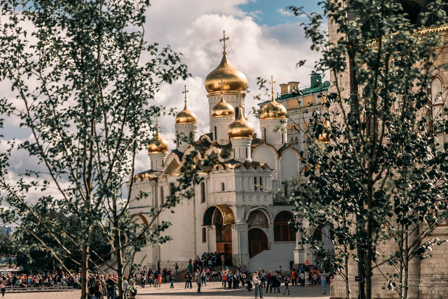 , Трепольский Дмитрий