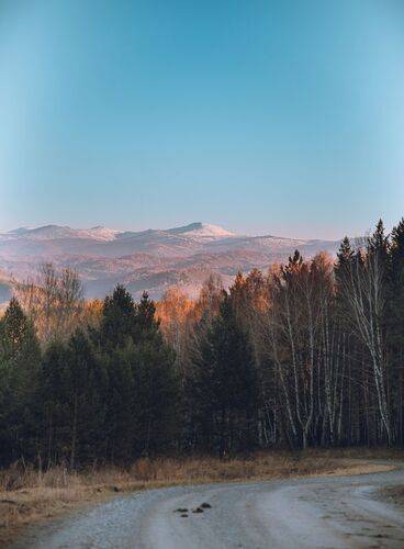 Алтайский край