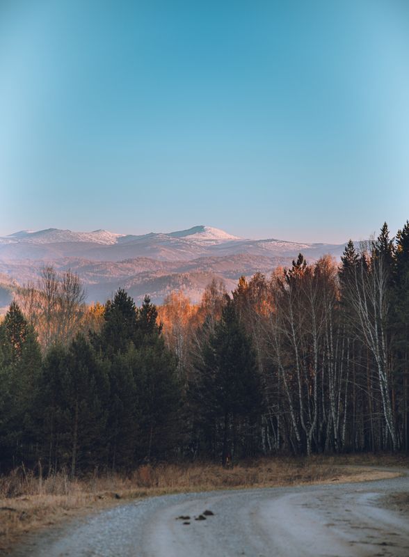 Горы, лес, дорога, осень,  Алтайский край фото превью