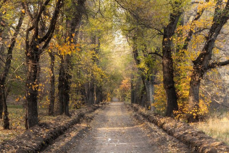 Осенние зарисовки... фото превью