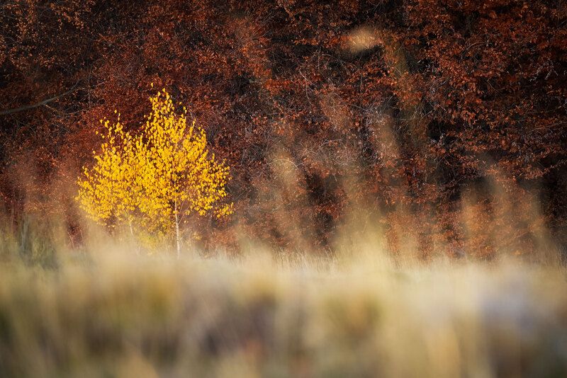 2025 фото превью