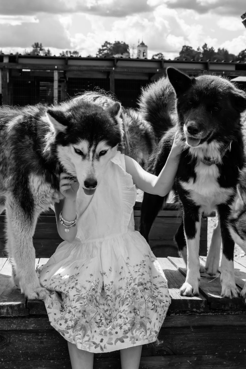 , Шилов Александр