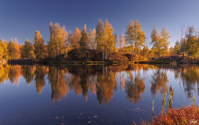 Карьеры Люторичей. Тульская область. фото превью