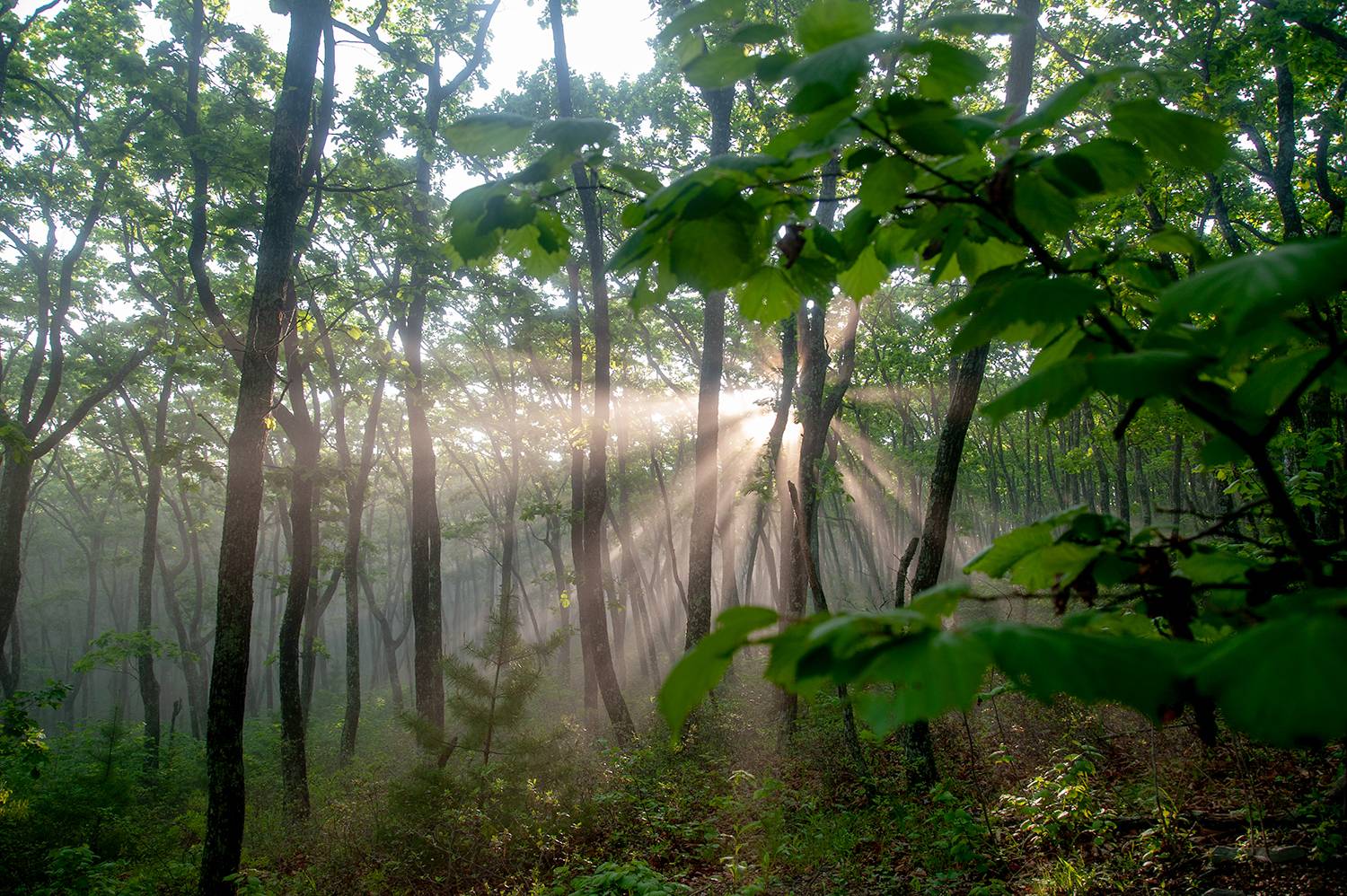 , Васильева Дарья