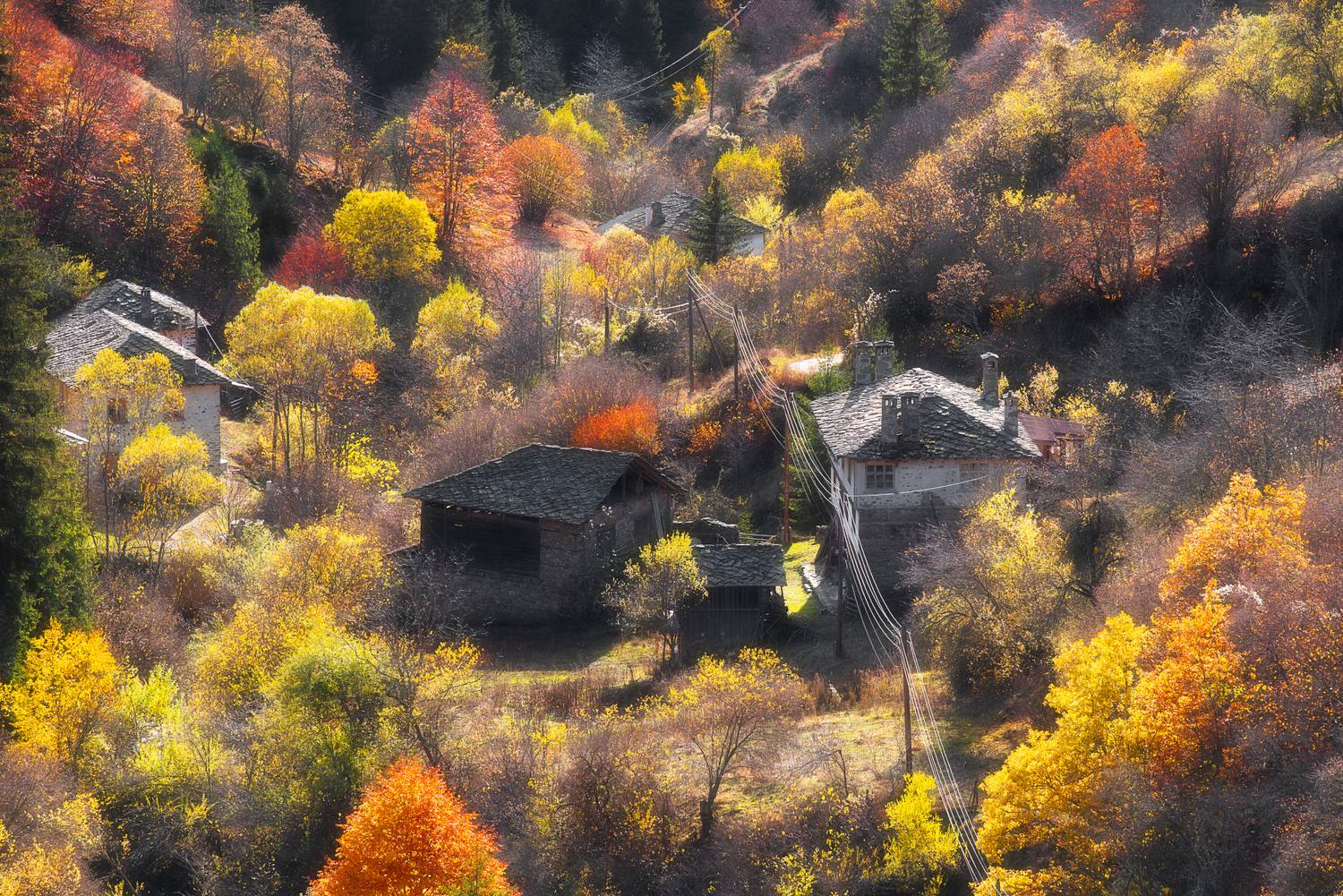 , Mariyana Atanasova - Lucero