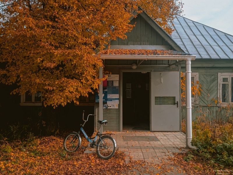 nature, природа, autumn, осень *** фото превью