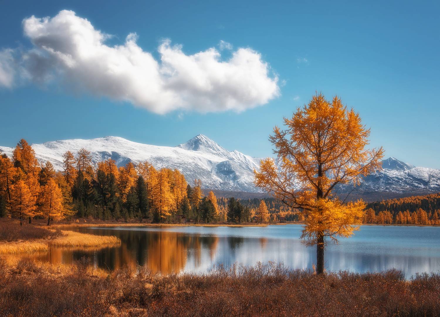 , Юдинских Марина