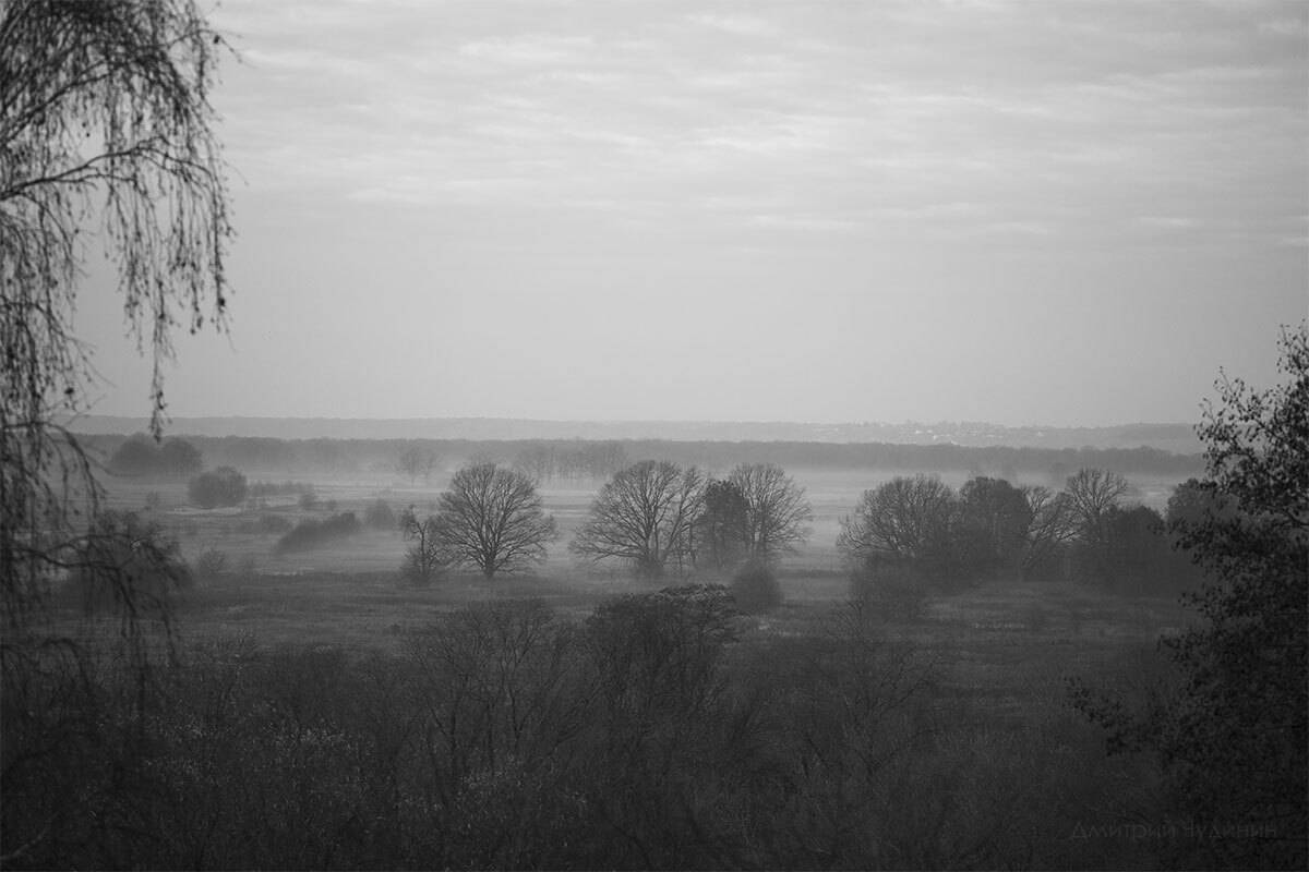 , Чудинин Дмитрий