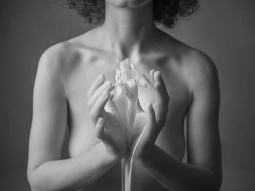 Iris. Nude Botanica