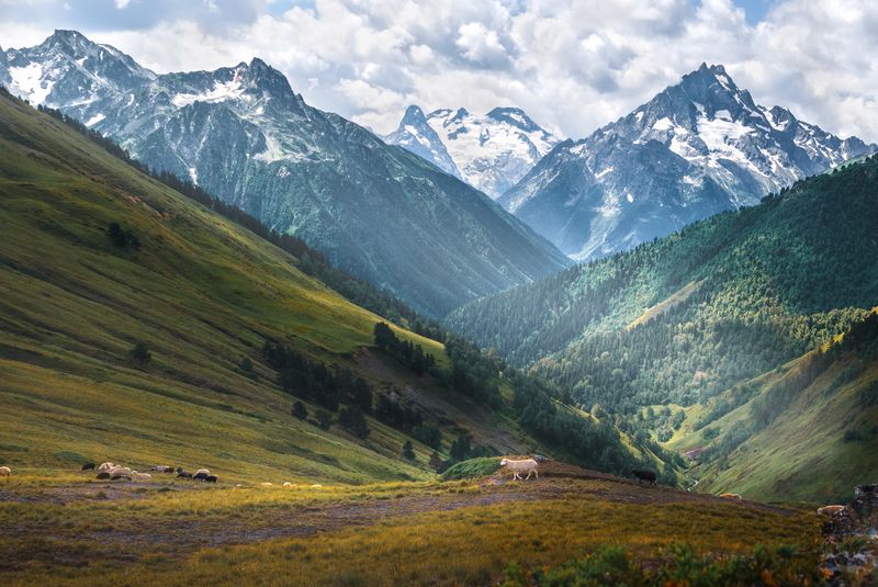 архыз, горы, природа, nikon, россия, кавказ Красавец Пшиш! фото превью