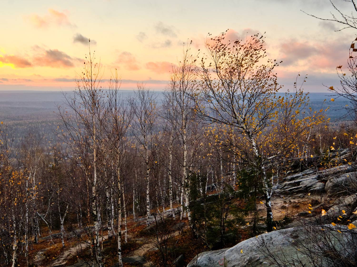 , Савицкий Ян