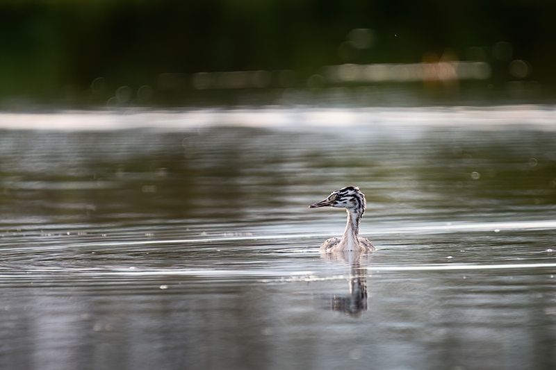 мир вокруг фото превью