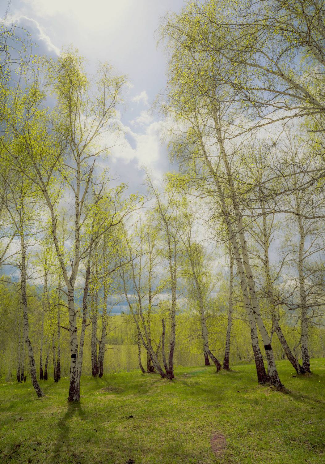 , Шустиков Дмитрий