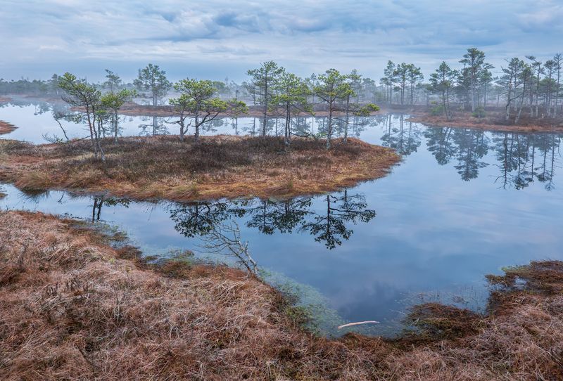 Хмурое утро фото превью