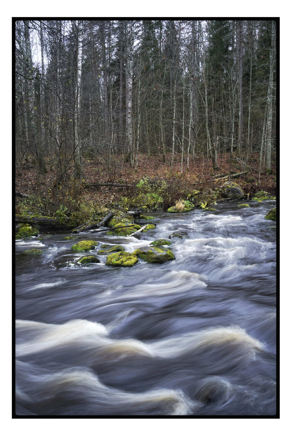 , Алёна Таланова