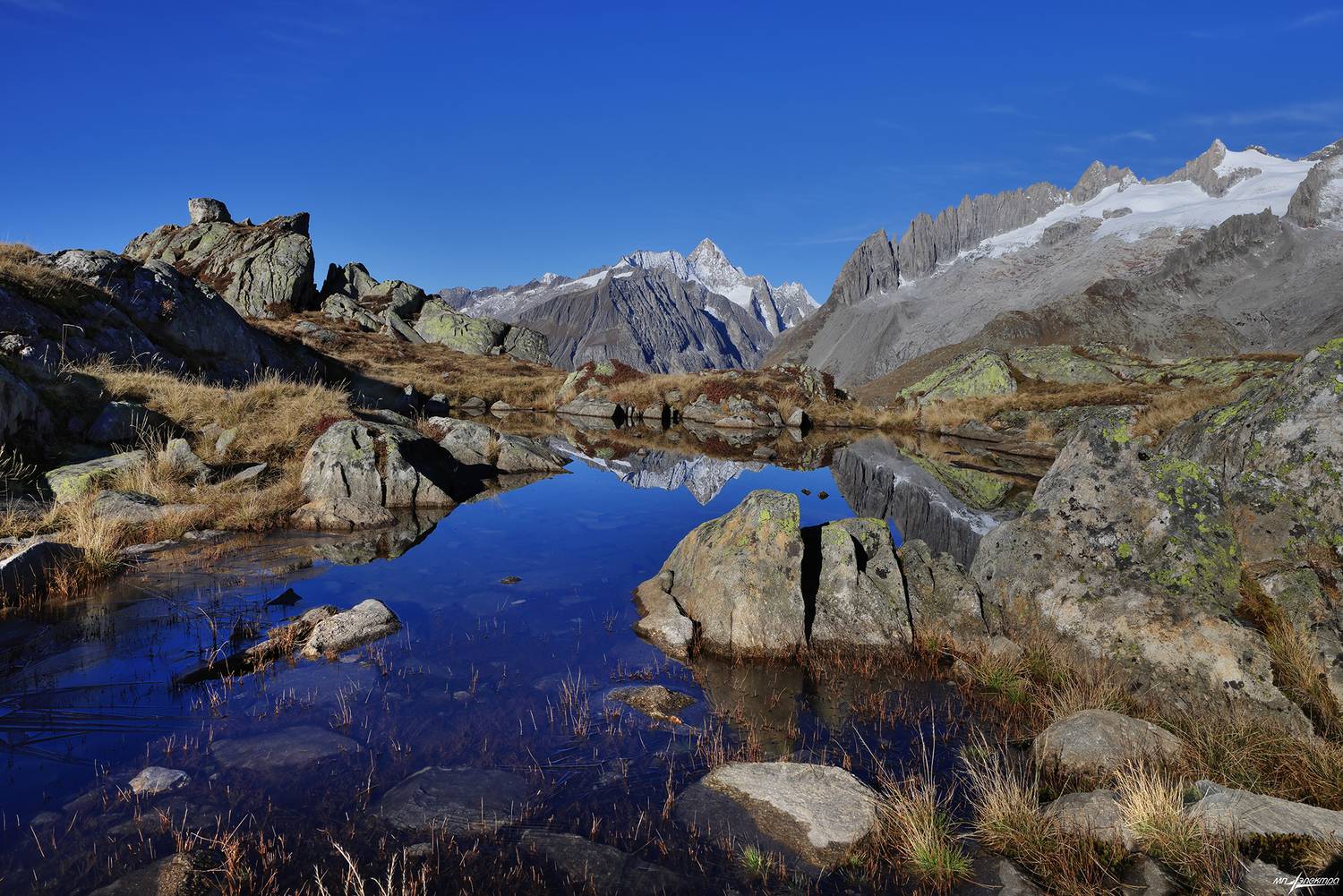 swiss, Матвеев Николай
