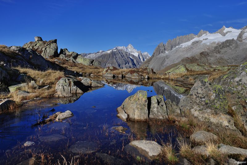 swiss Первый ледок фото превью
