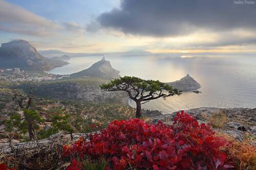 Утро в Новом Свете