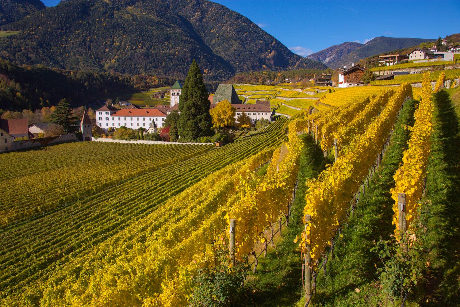 , Мурзинов Виктор