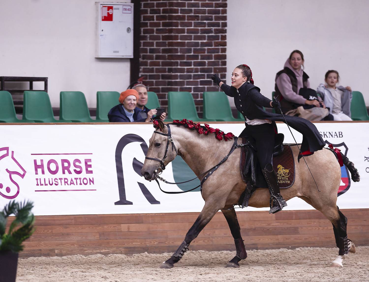 выступление, спорт,красота,horse , movement competition, sport, Стукалова Юлия