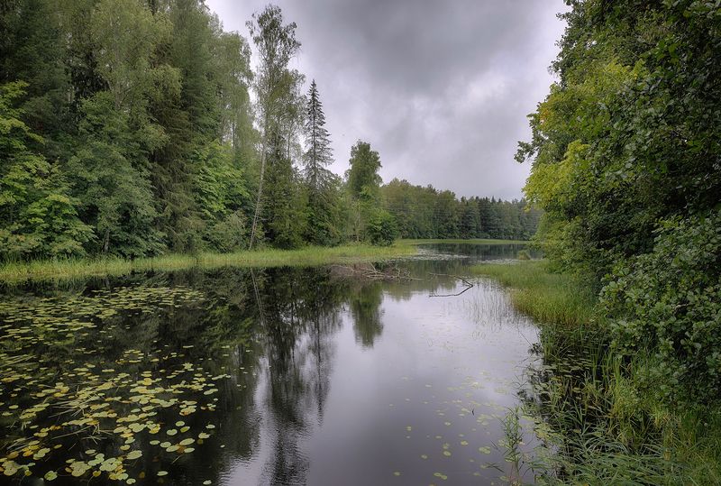 *** фото превью