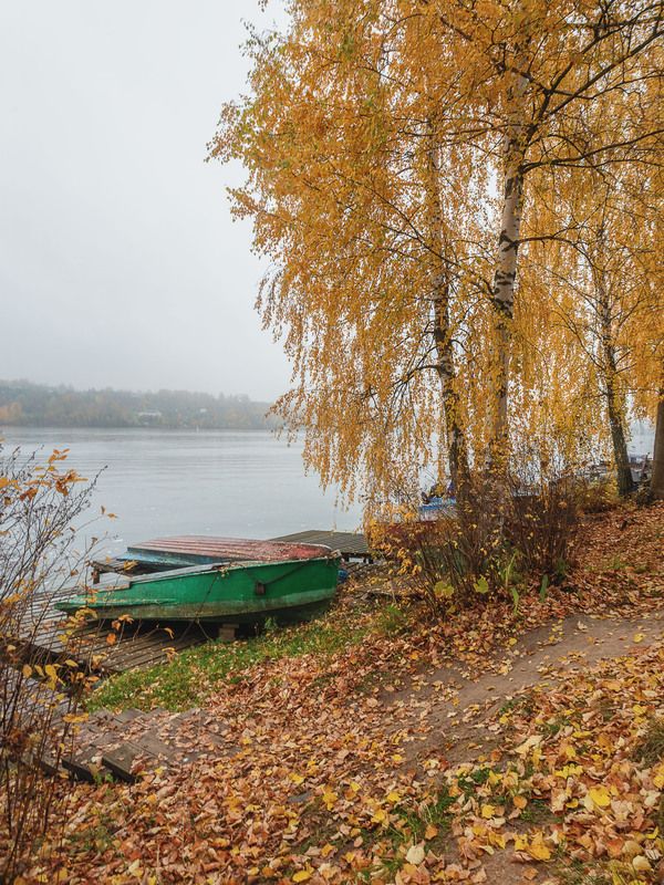 Туман фото превью