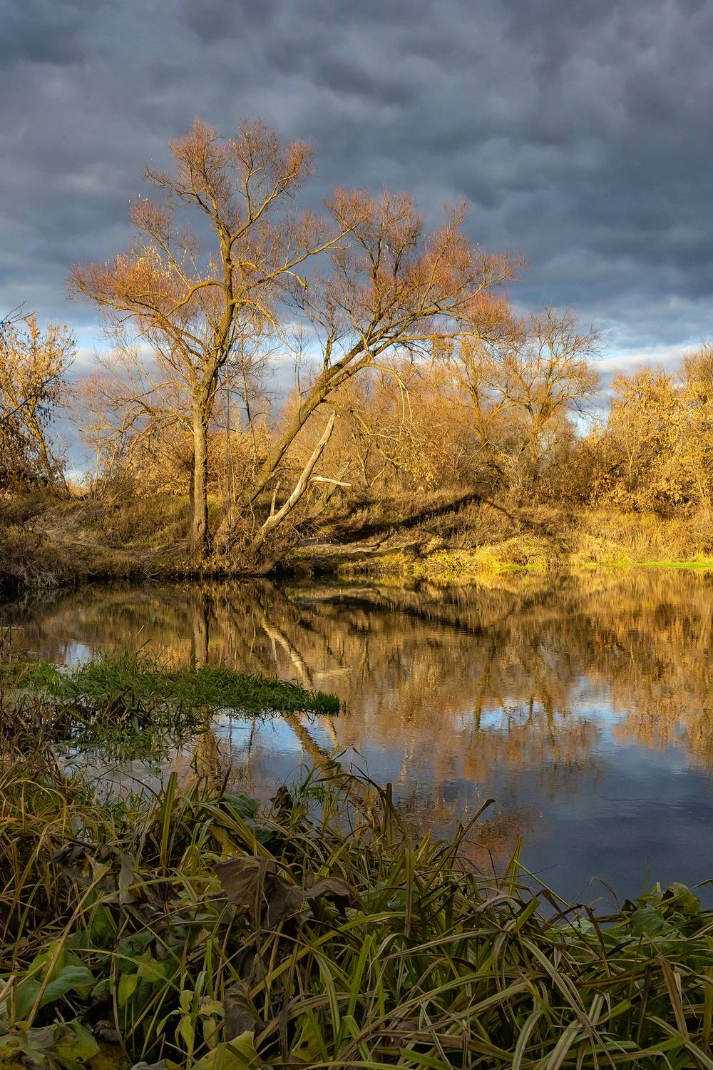 медведица, река, природа, саратовская область, Подосинников Максим