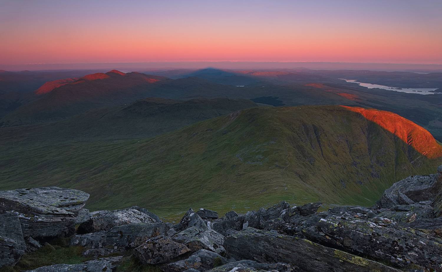 , Wojciech Tarnowski