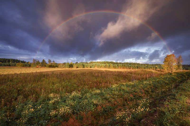 Радуга-дуга фото превью