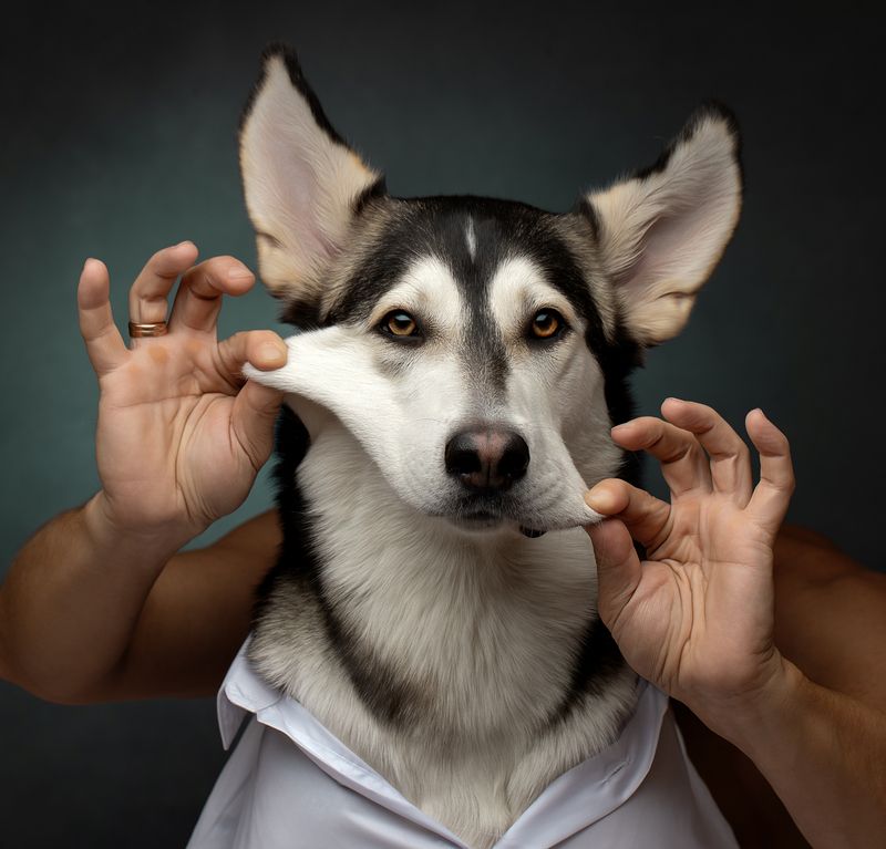 фото превью