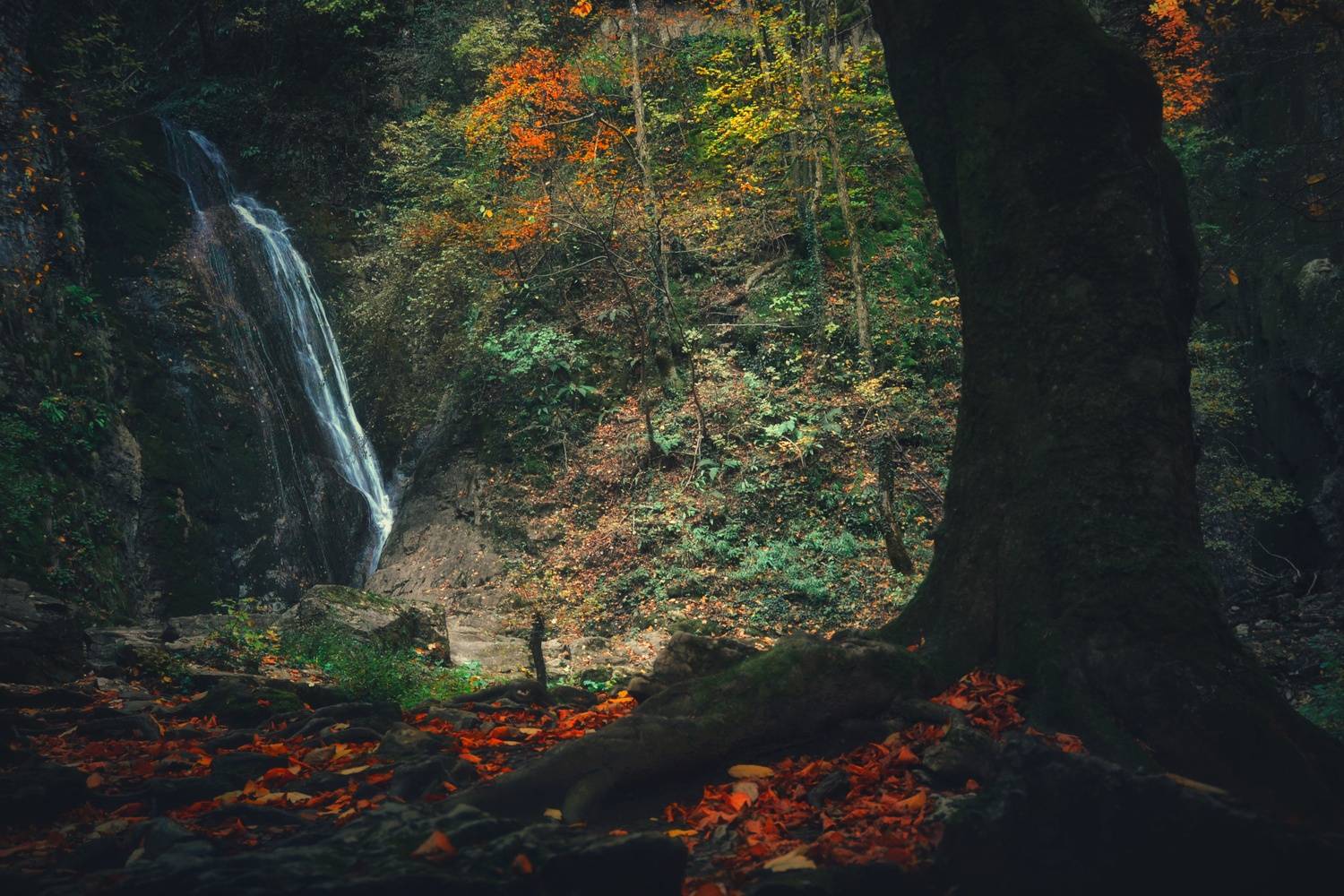 , Юлияна Стоянова