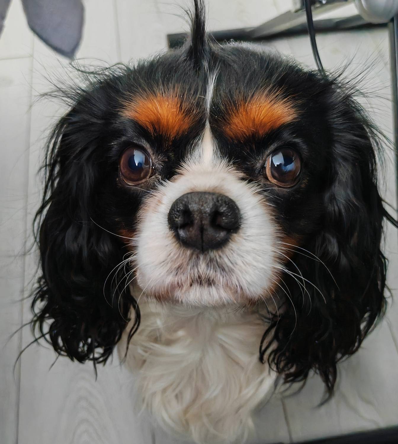 , Ольга Лукахина