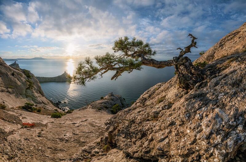 крым, новый свет, караул оба, рассвет, ноябрь Ново Светские мотивы фото превью
