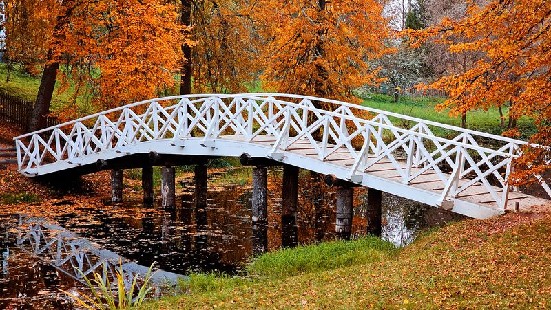 михайлвоское  фото превью