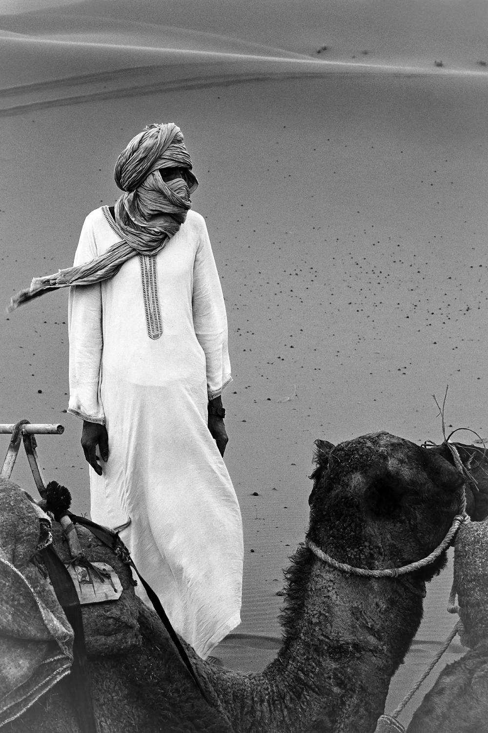 , Марина Никифорова