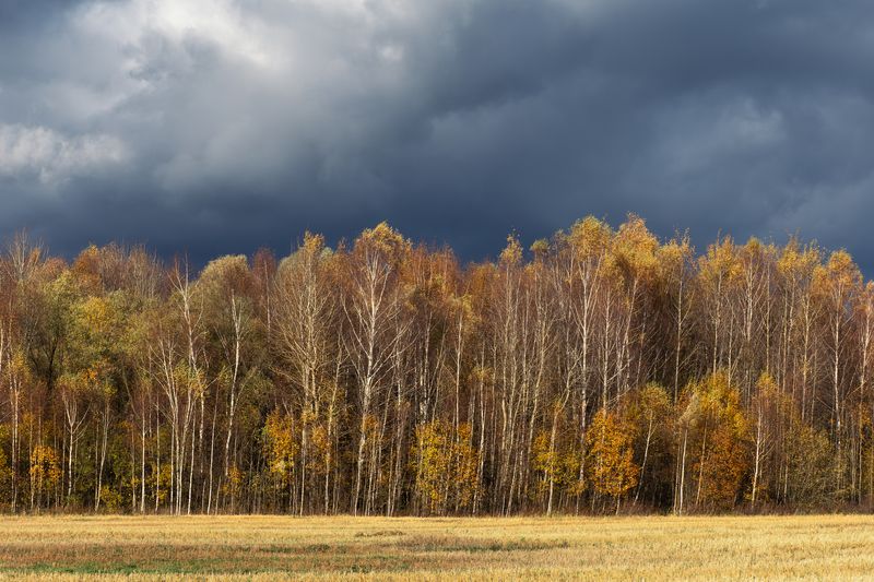 НЕоткрыточная осень фото превью