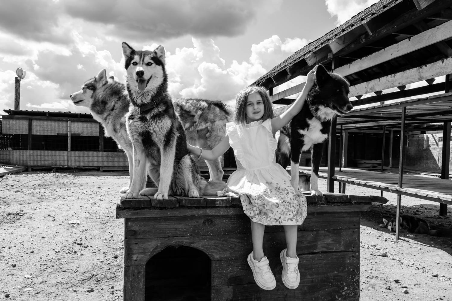 , Шилов Александр