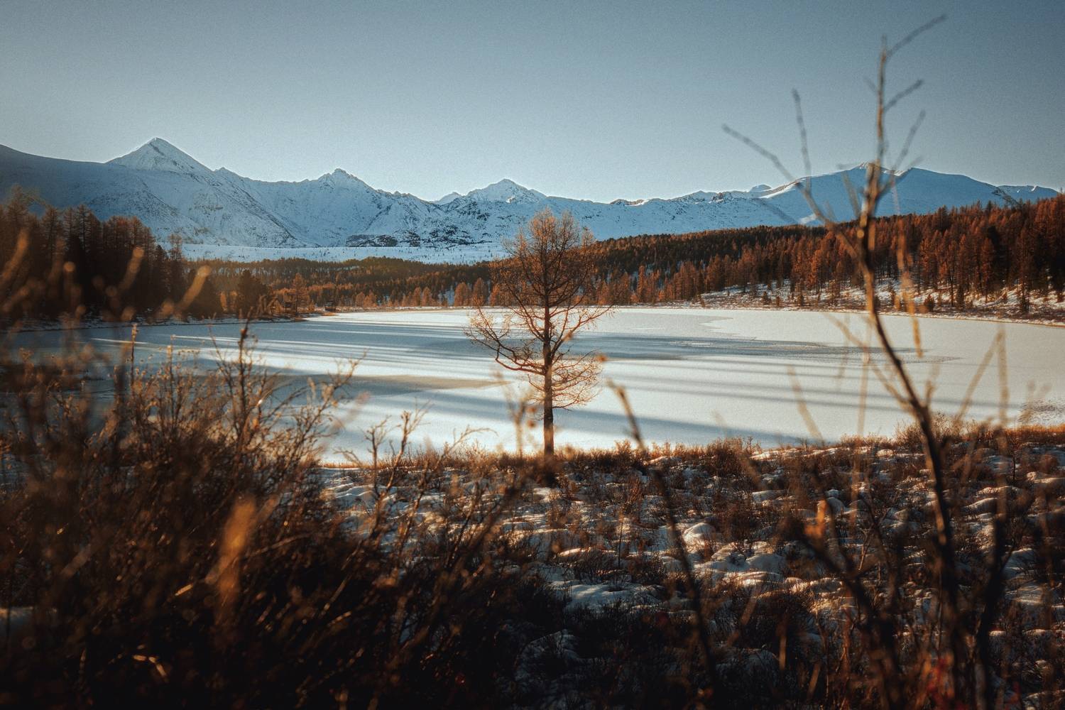 , Виктор Гагарин