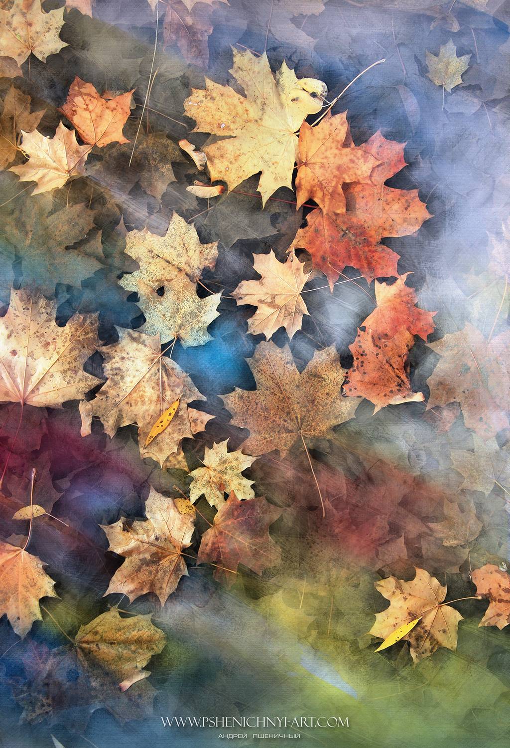 осень, кленовые листья, октябрь, палитра, вода, акварель, поток красок, опавшая листва, Пшеничный Андрей