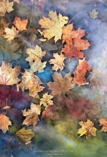 В потоке осенних красок