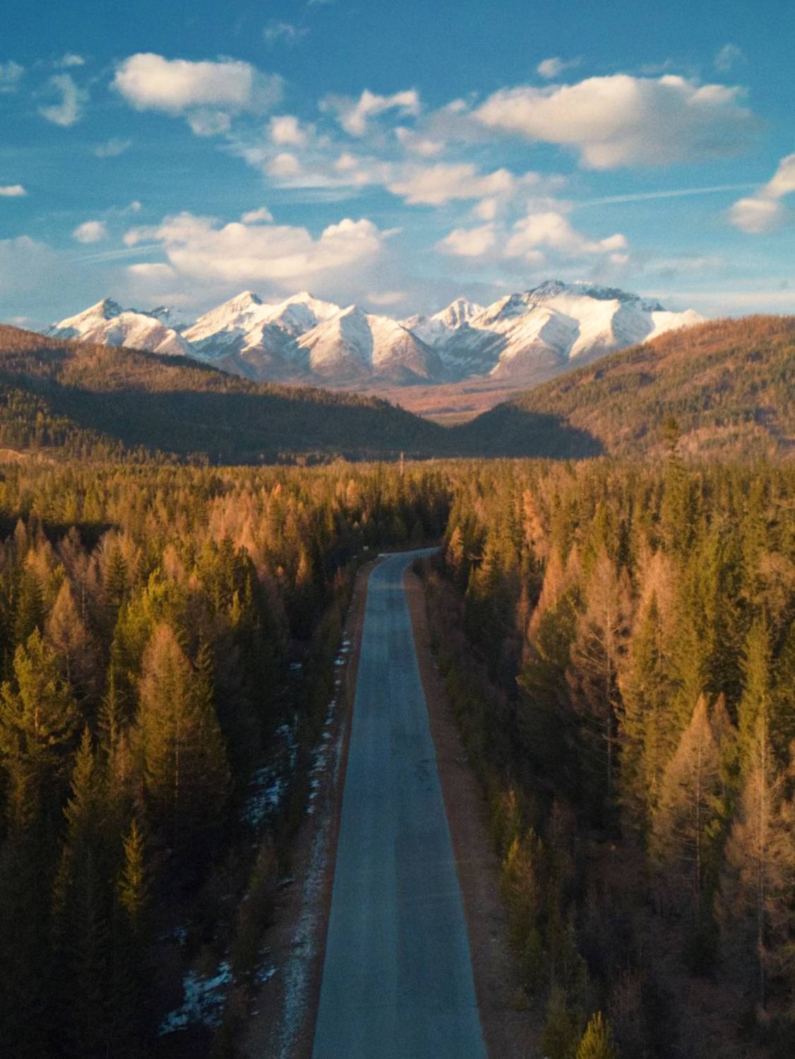 , Большаков Алексей