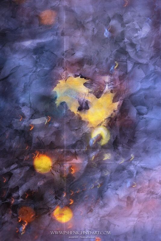 осень, кленовые листья, октябрь, дождь, огни, вода, блики, опавшая листва Мерцающие огни осени фото превью