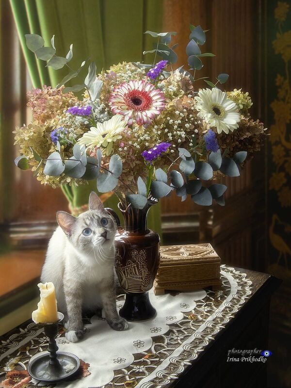 Как много интересного в жизни! фото превью